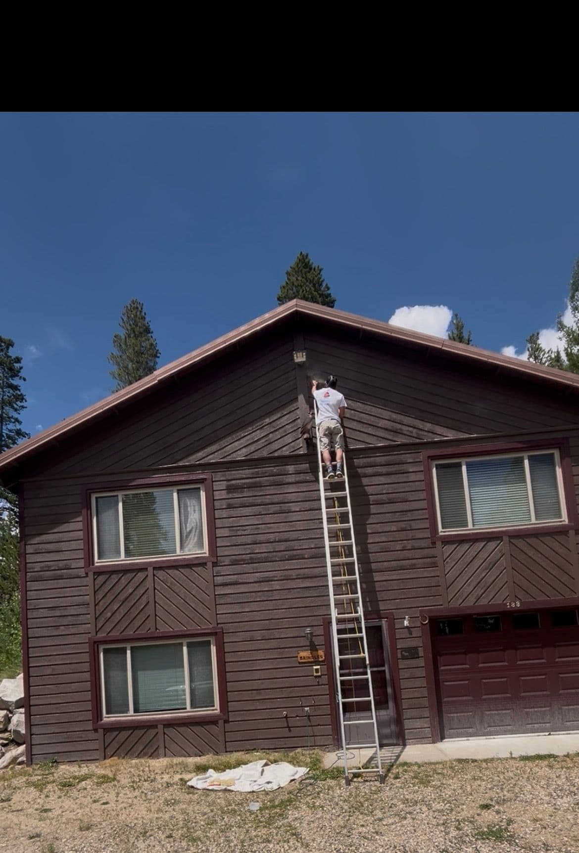 Expert Siding Repair Solutions for Woodpecker Damage image
