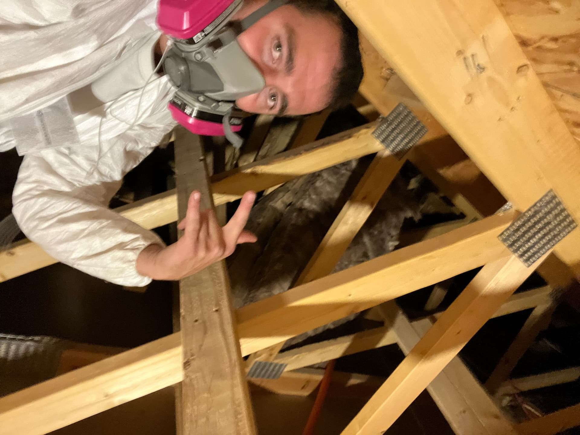 Overcoming Attic Challenges with Expertise image
